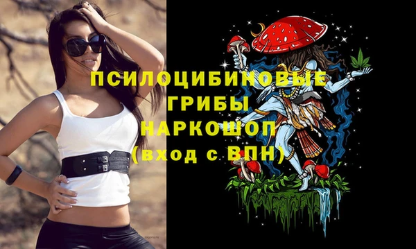 2c-b Михайловка