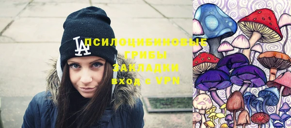 2c-b Михайловка