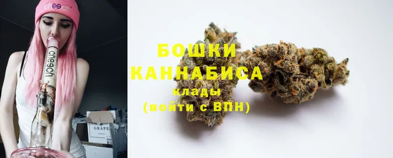 Конопля SATIVA & INDICA  где купить   Уржум 